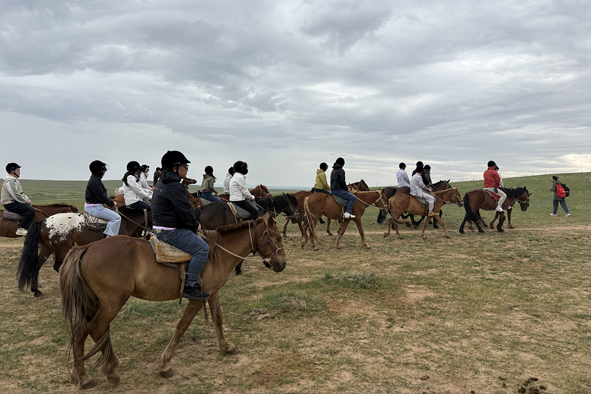 凱泰電子內蒙古團建