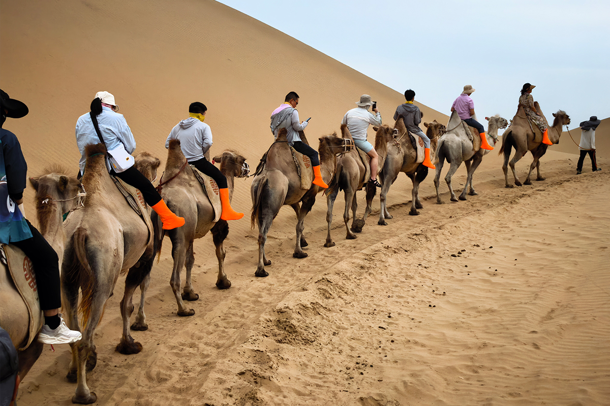 凱泰電子內蒙古團建